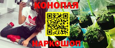 метадон Лесосибирск